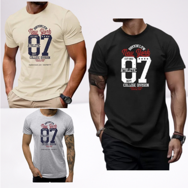 Ανδρικά t-shirt Cotton Point με τύπωμα σε 7 αποχρώσεις  NEW YORK